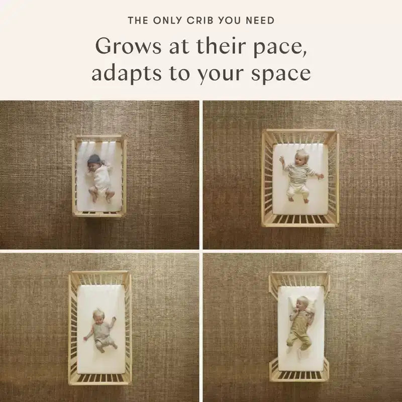 Lit de bébé convertible 8-en-1 Yuzu de Babyletto avec kits de conversion toutes étapes