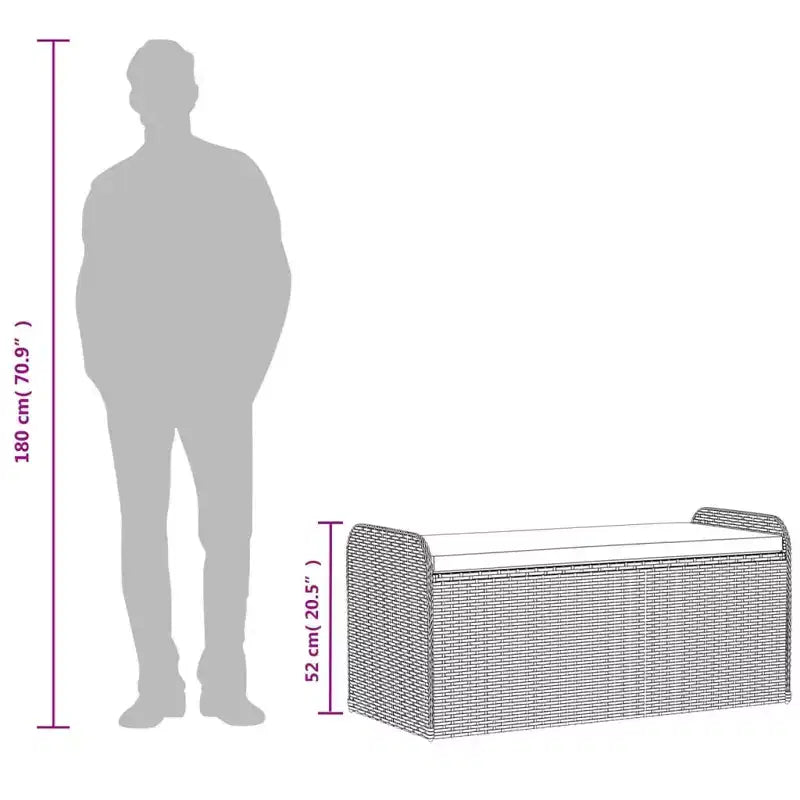 Banc de rangement Gris Rotin PE, acier thermolaqué, polyester