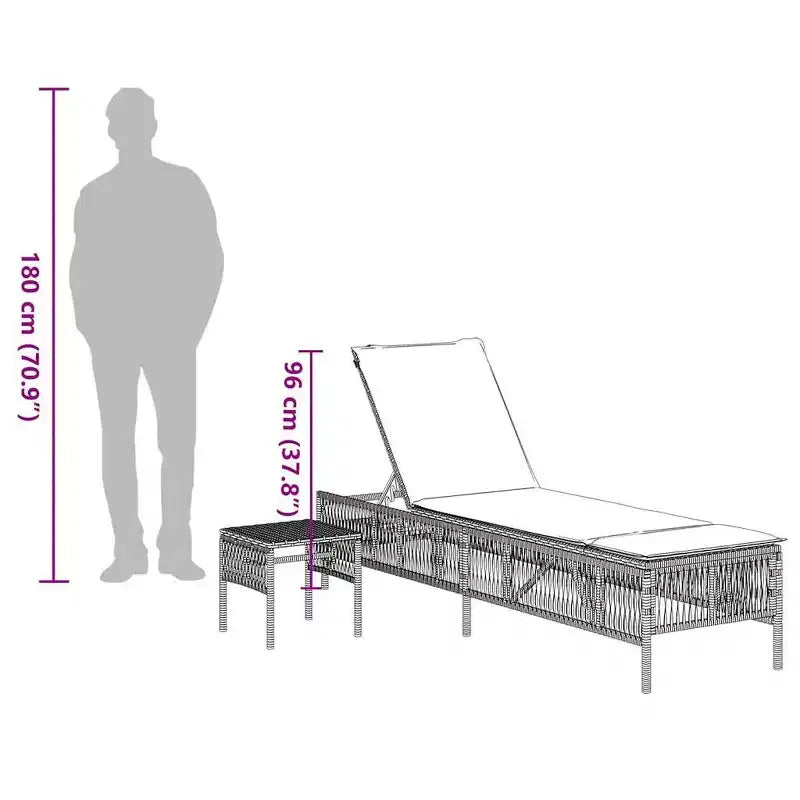 vidaXL Bain de soleil en rotin PE, acier poudré Standard
