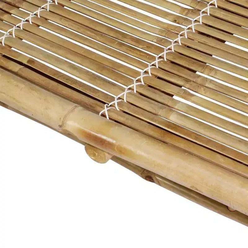 vidaXL Chaise longue Bambou naturel, (coussins)