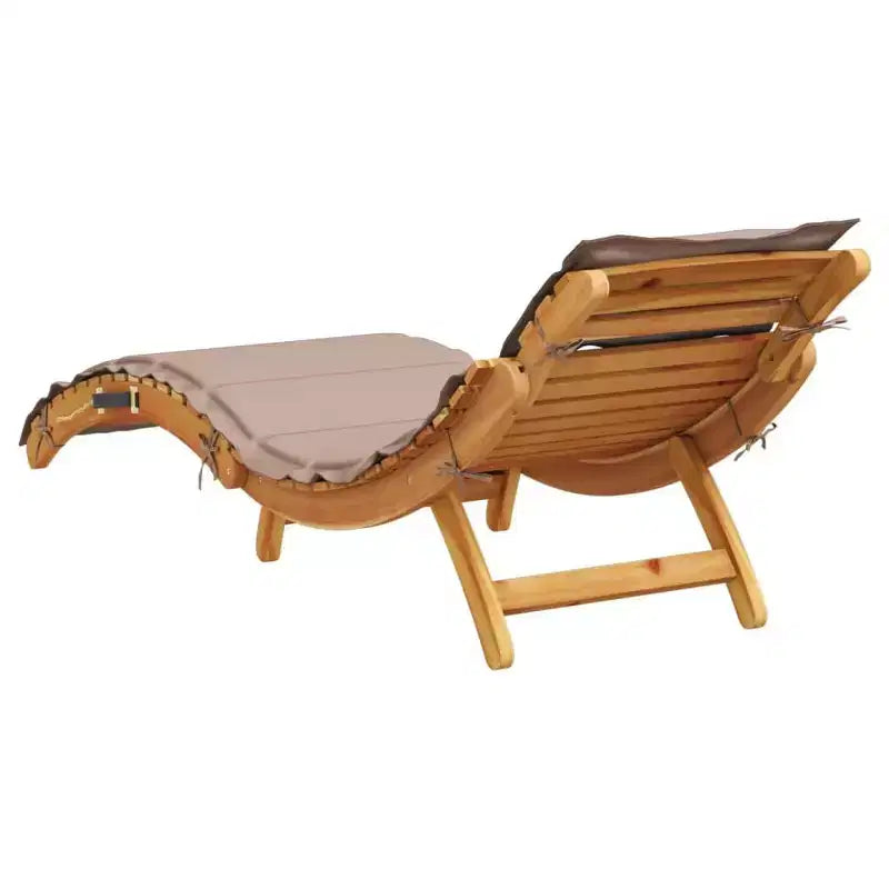 vidaXL Lot de 2 transats taupe bois d'acacia massif extra longs pliables