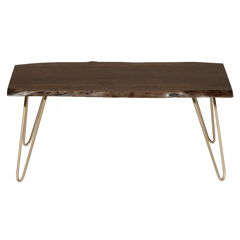 Table basse/Banc live edge Carolina Living Seti – Plateau en orme – Base dorée
