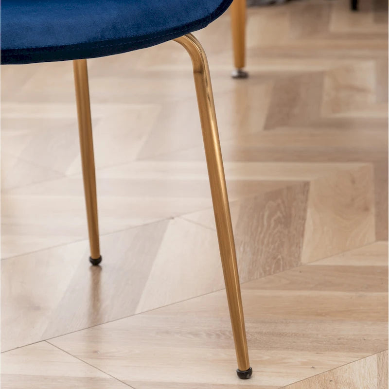 Roundhill Furniture Aufurr - Chaises de salle à manger modernes en velours (Lot de 2)