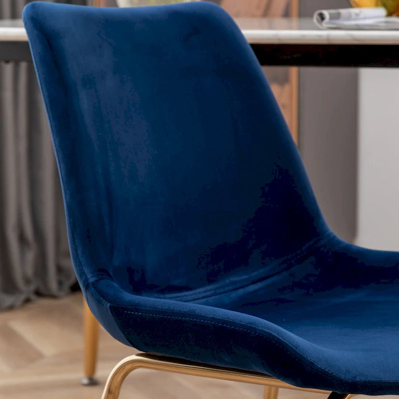 Roundhill Furniture Aufurr - Chaises de salle à manger modernes en velours (Lot de 2)