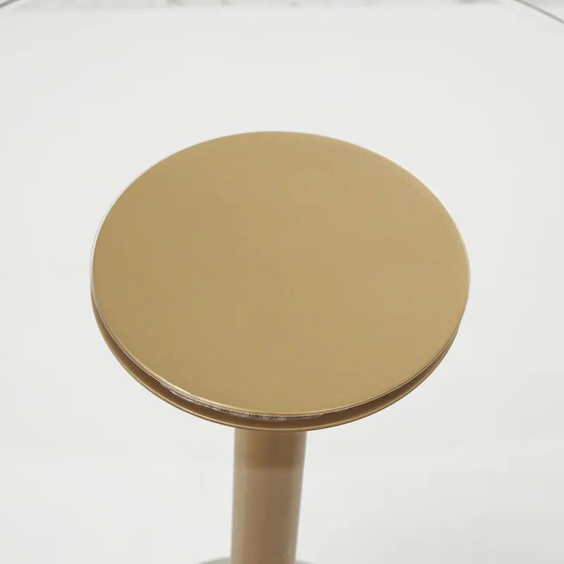 Table d'appoint en acrylique avec base surélevée et support doré - Transparent - Roche River Decor
